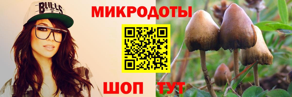 Звенигород  Псилоцибиновые грибы Magic Shrooms  Вход с VPN 